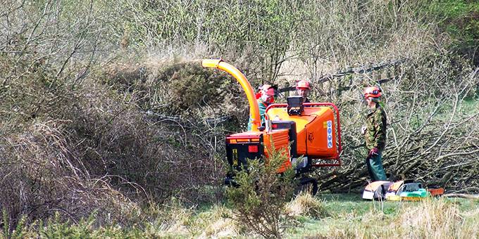 Clearing vegetation